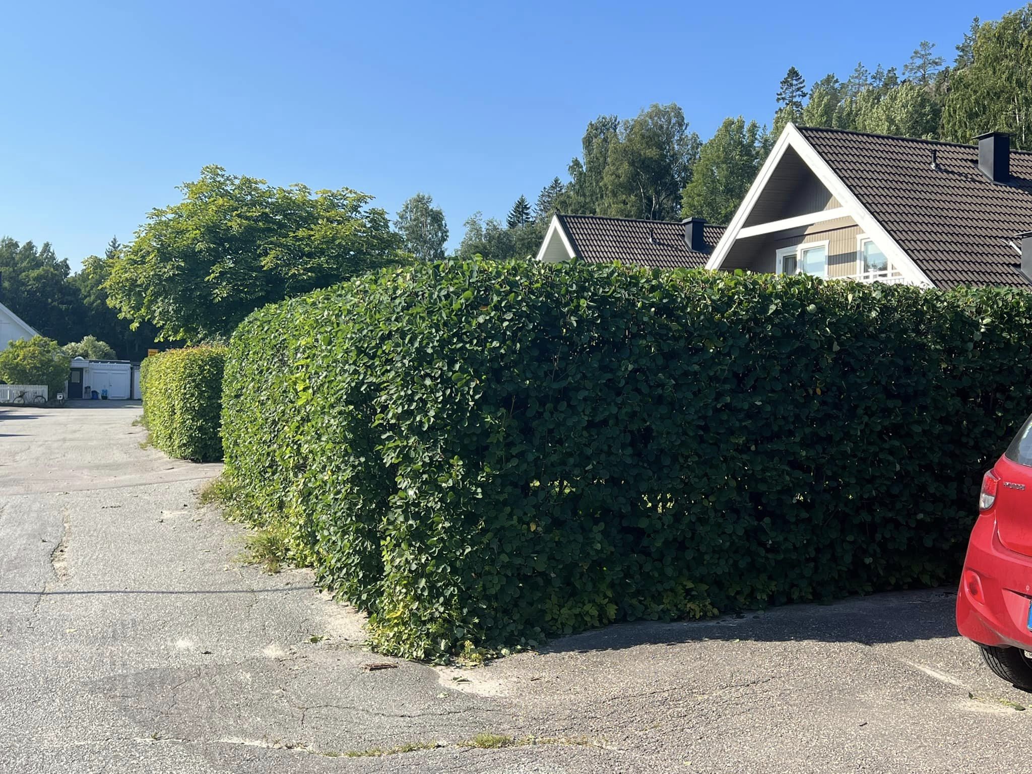 En vältrimmad häck i ett bostadsområde